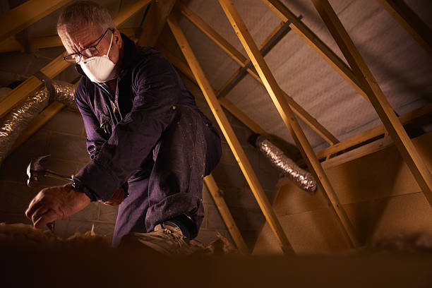 Best Insulation Installation Services in Cotati, CA